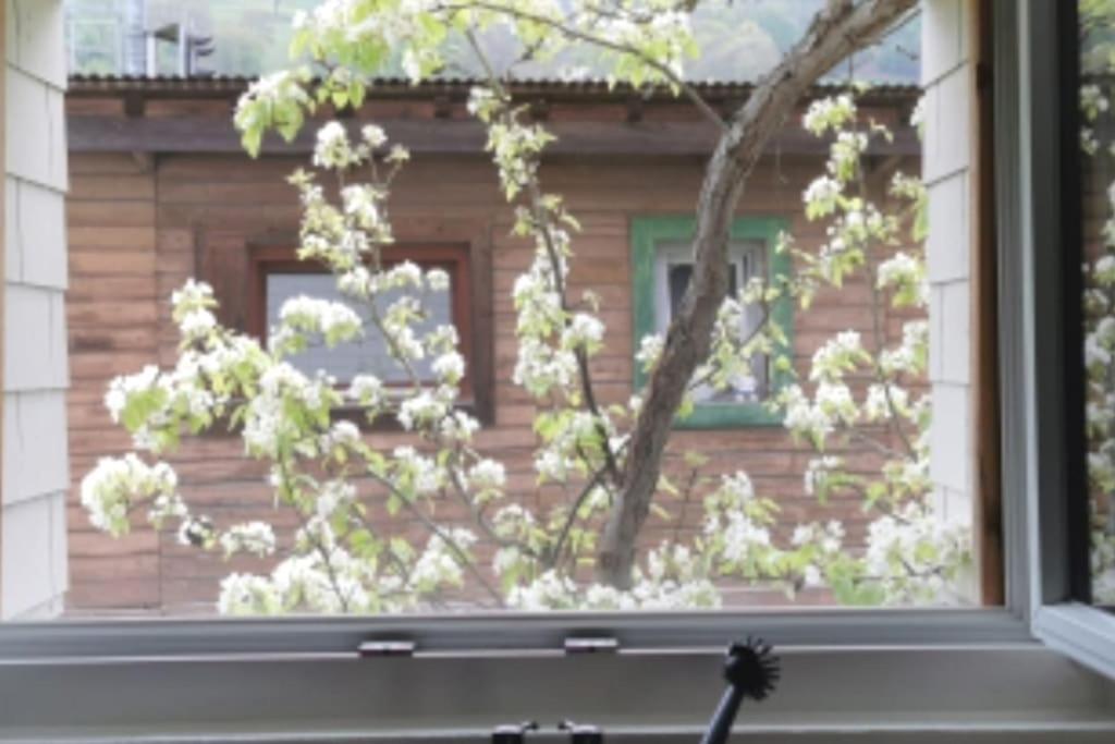 Schönes Studio mit Sitzplatz, mitten im Prättigau Jenaz Exterior foto